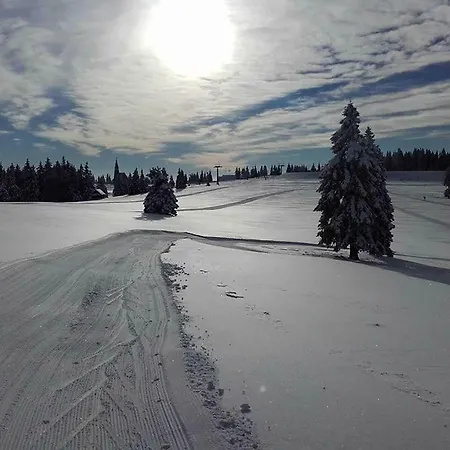 Horská chata Rogla Urska *