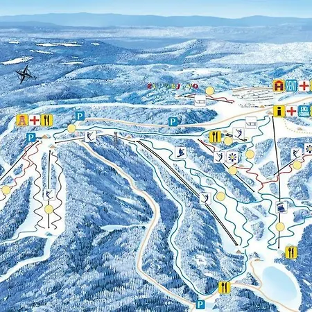 Rogla Urska *
