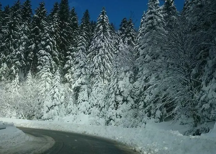 Rogla Urska شاليه Resnik