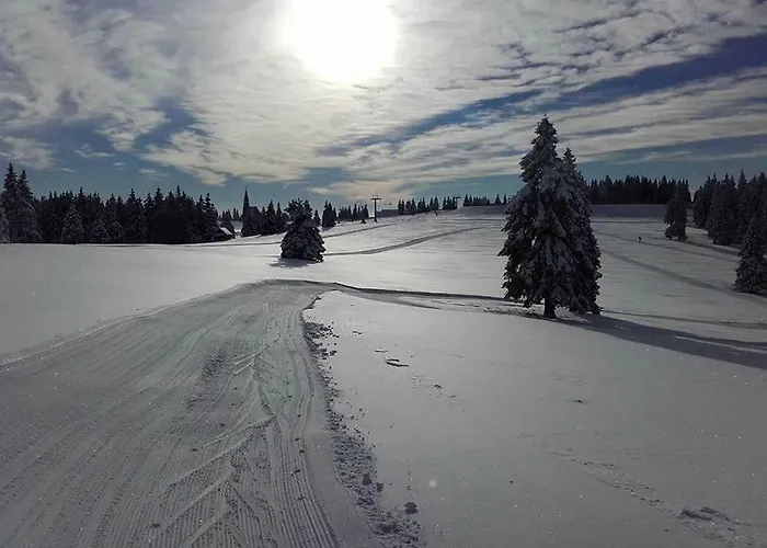 Chalet Rogla Urska *